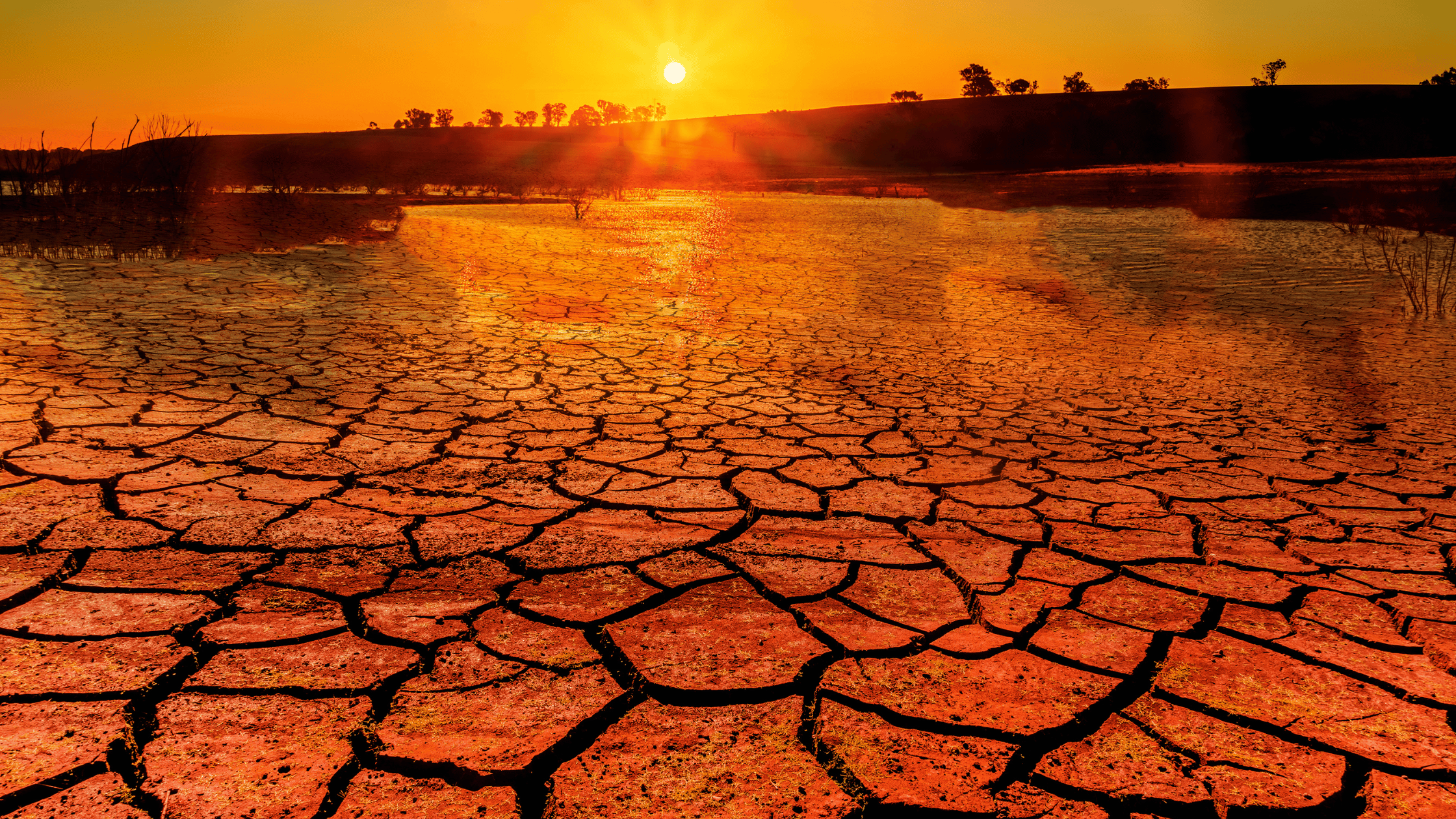 Global Warming